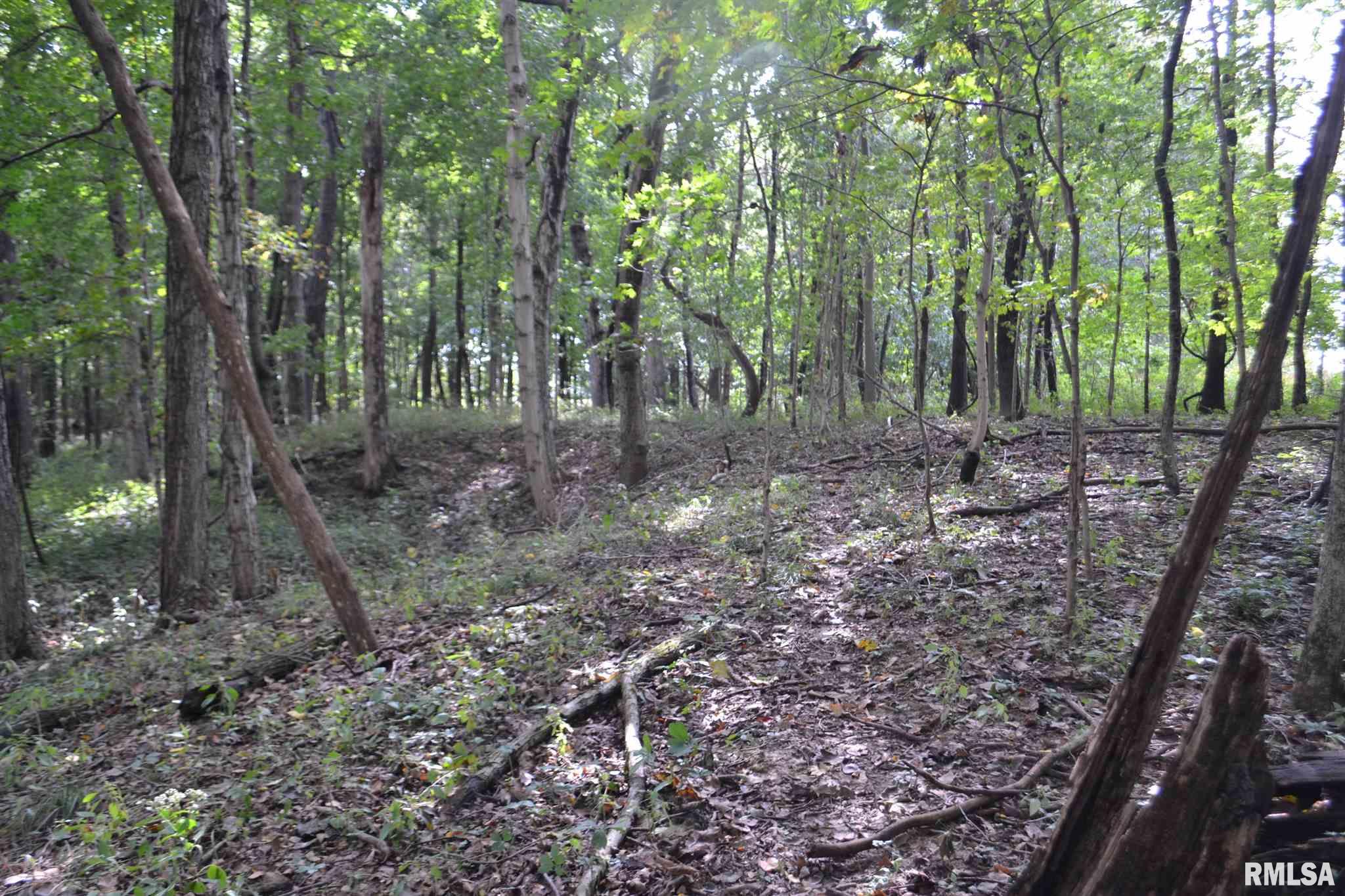 East EAST 250th Road Kansas, IL 61933 - Photo 30 of 37