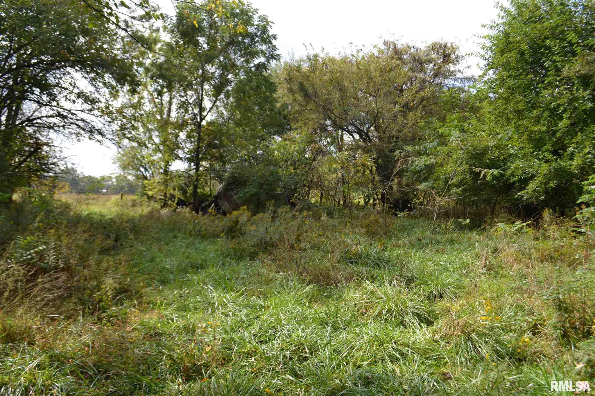 East EAST 250th Road Kansas, IL 61933 - Photo 4 of 37