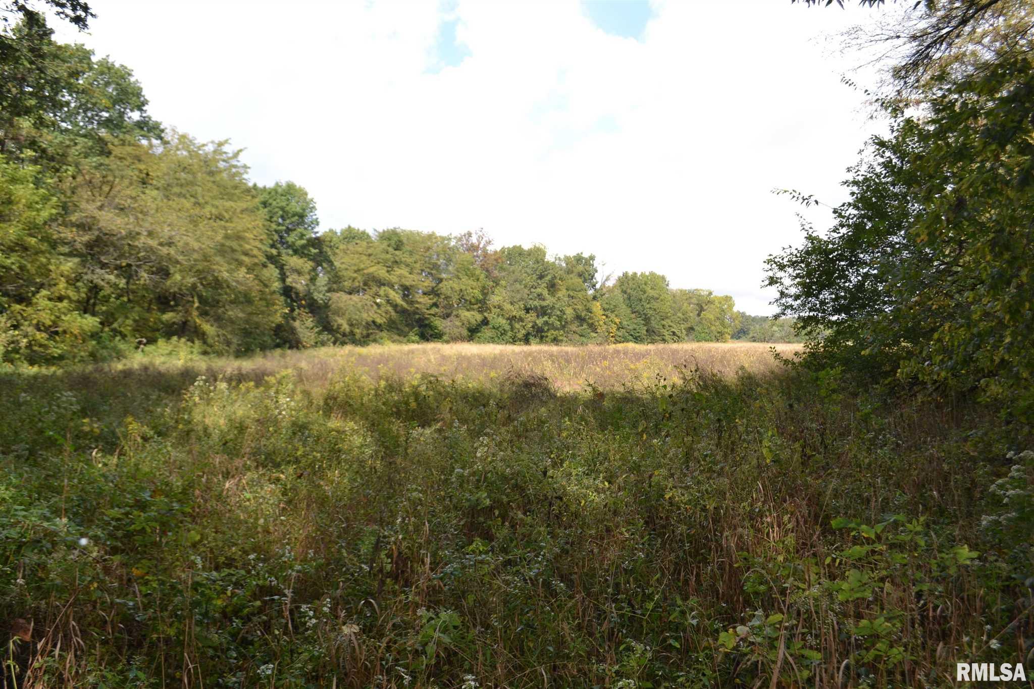 East EAST 250th Road Kansas, IL 61933 - Photo 31 of 37