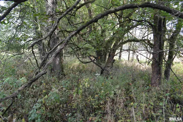 $334,800 | East EAST 250th Road, Kansas, IL 61933