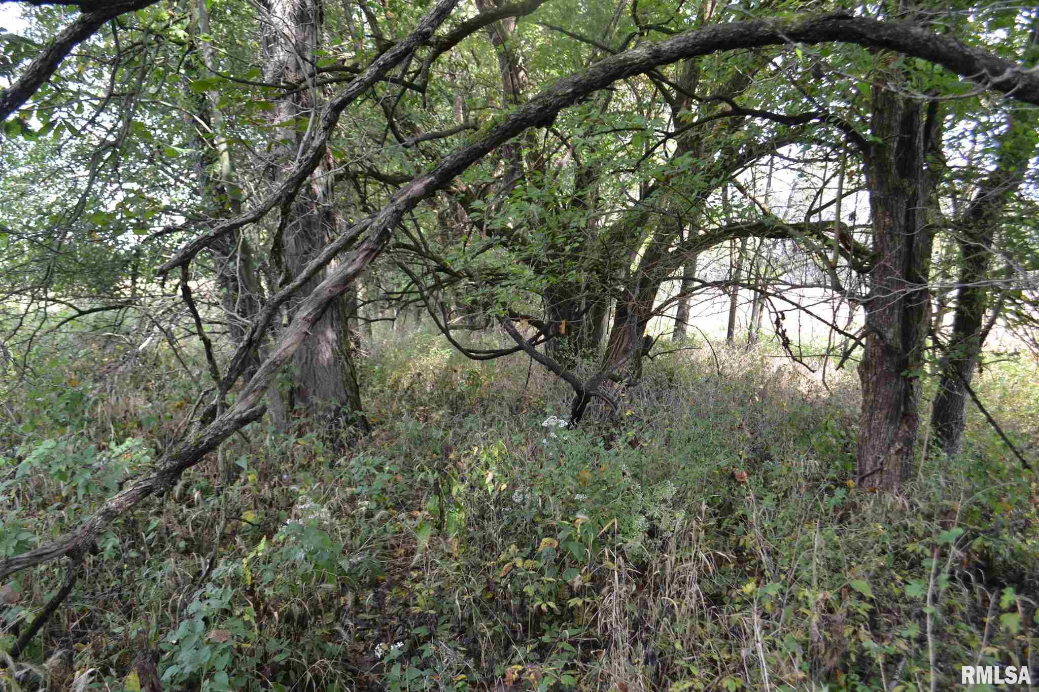 East EAST 250th Road Kansas, IL 61933 - Photo 32 of 37