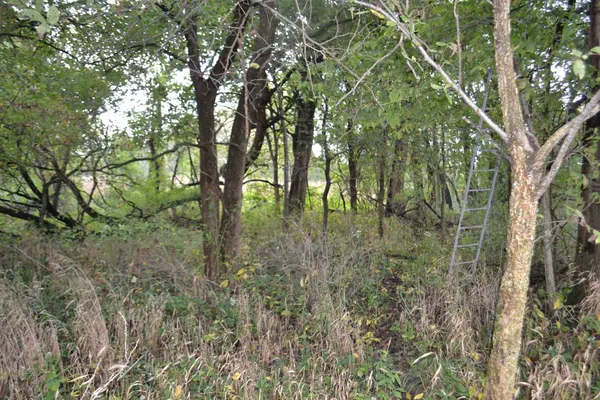 $334,800 | East EAST 250th Road, Kansas, IL 61933