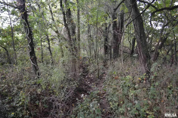 $334,800 | East EAST 250th Road, Kansas, IL 61933