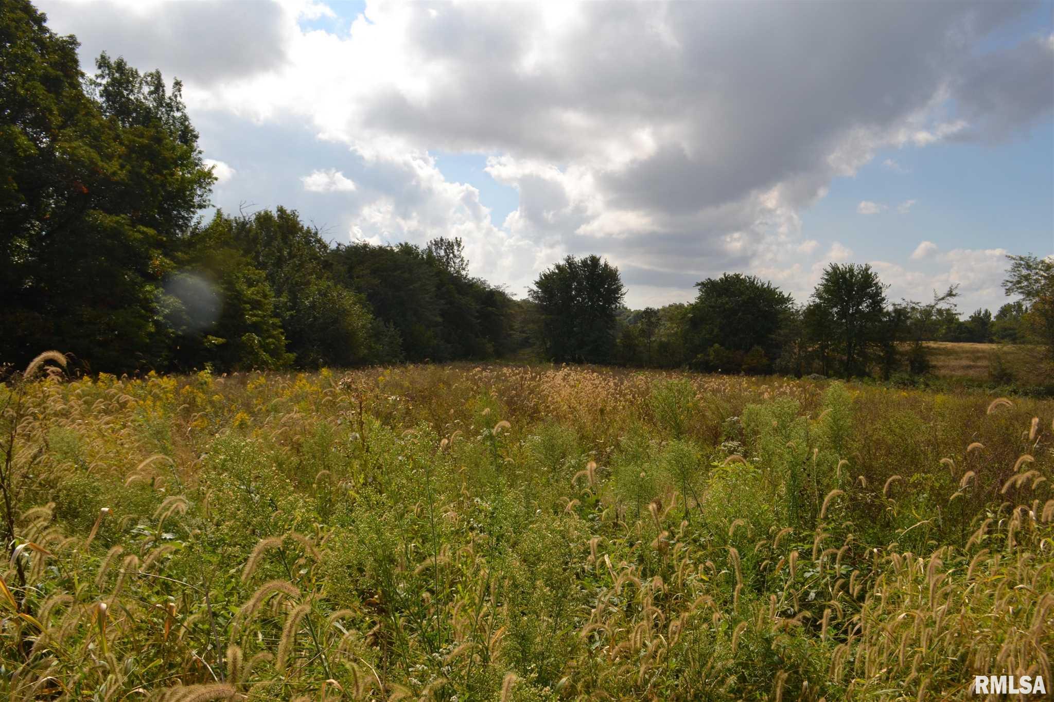 East EAST 250th Road Kansas, IL 61933 - Photo 35 of 37