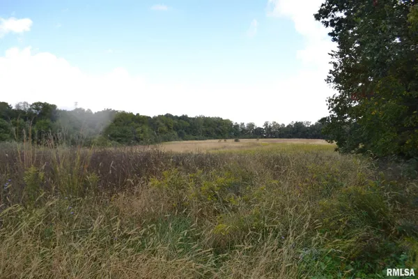 $334,800 | East EAST 250th Road, Kansas, IL 61933