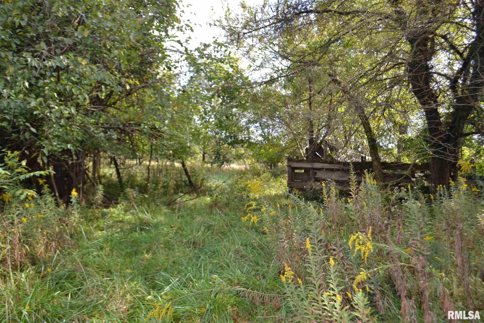 East EAST 250th Road Kansas, IL 61933 - Photo 5 of 37
