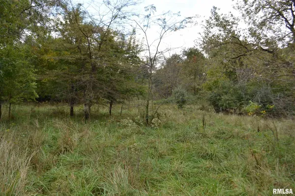 $334,800 | East EAST 250th Road, Kansas, IL 61933