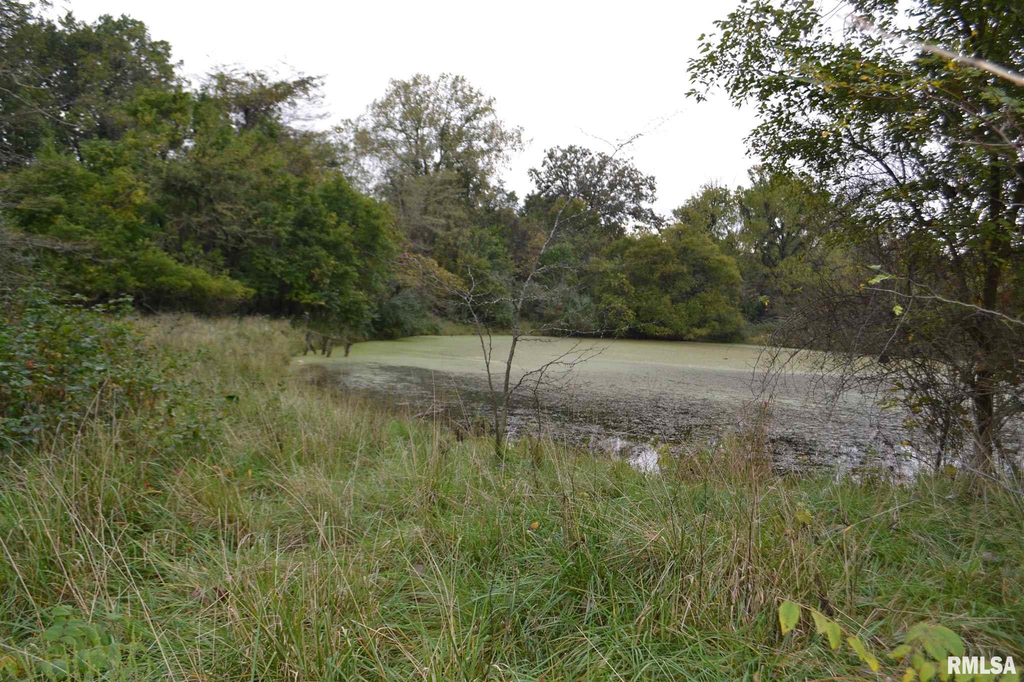 East EAST 250th Road Kansas, IL 61933 - Photo 8 of 37