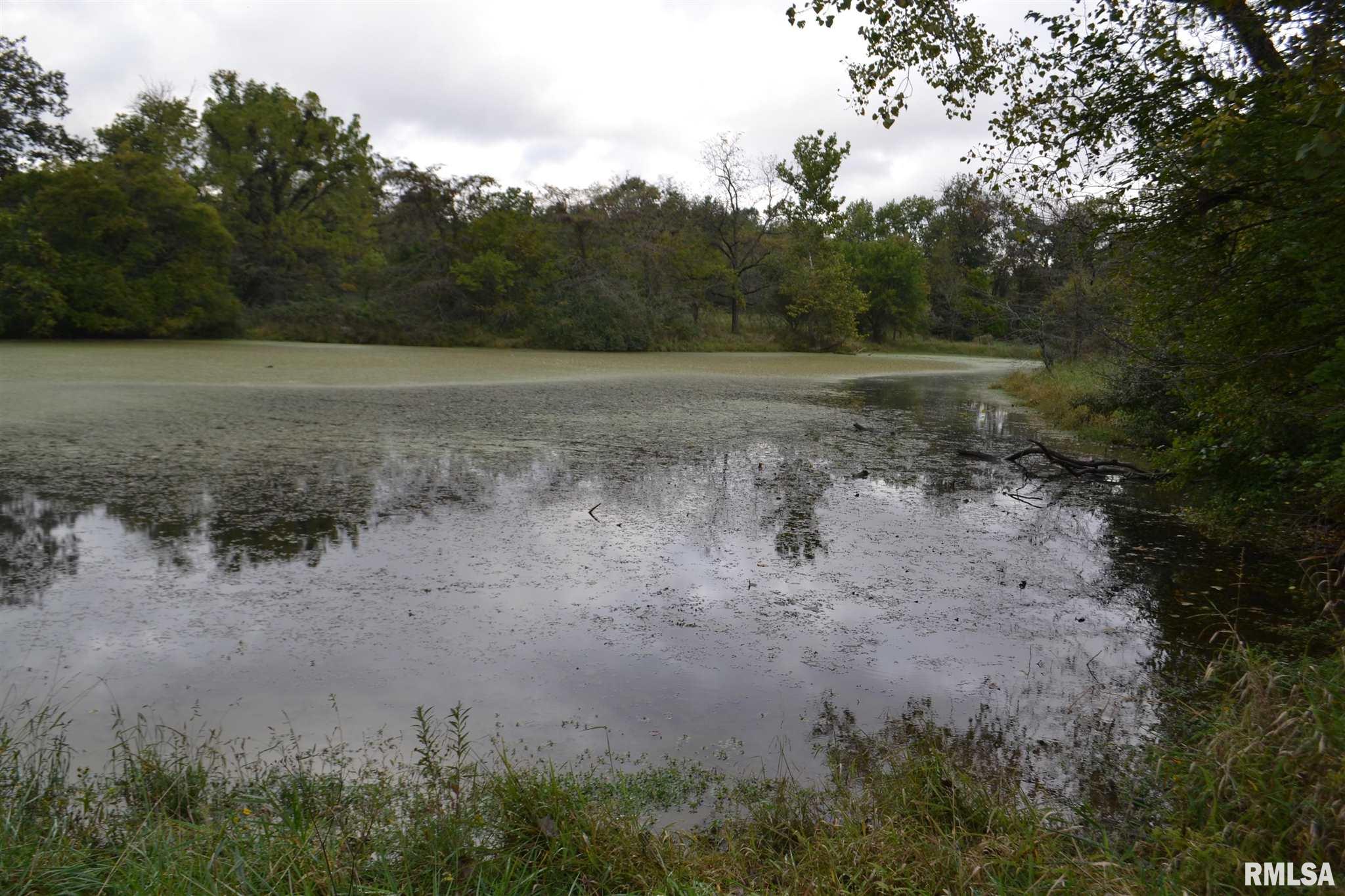 East EAST 250th Road Kansas, IL 61933 - Photo 9 of 37