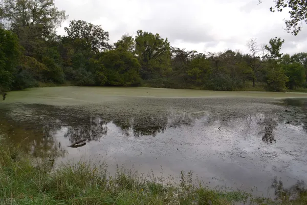 $334,800 | East EAST 250th Road, Kansas, IL 61933