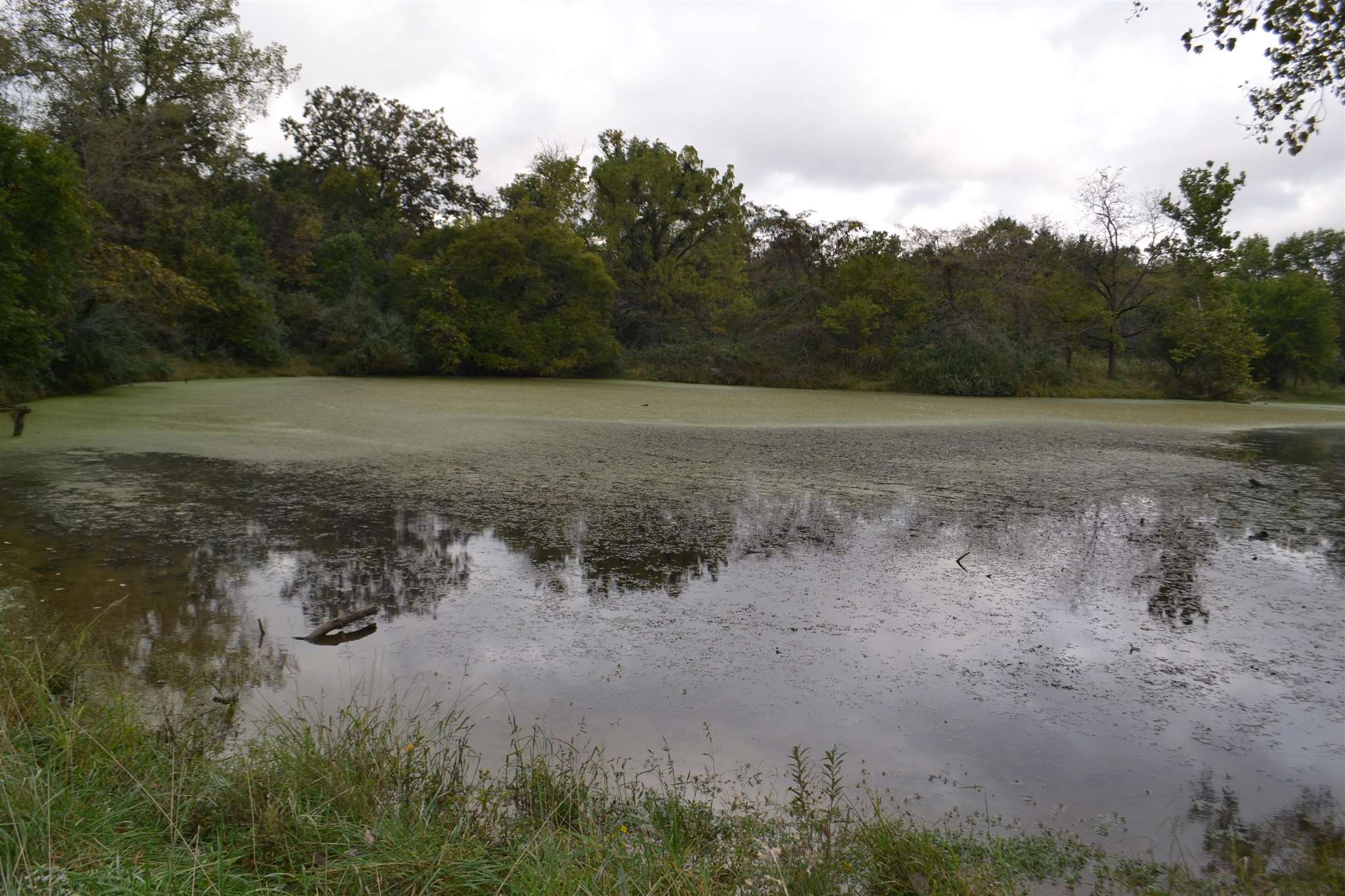 East EAST 250th Road Kansas, IL 61933 - Photo 10 of 37