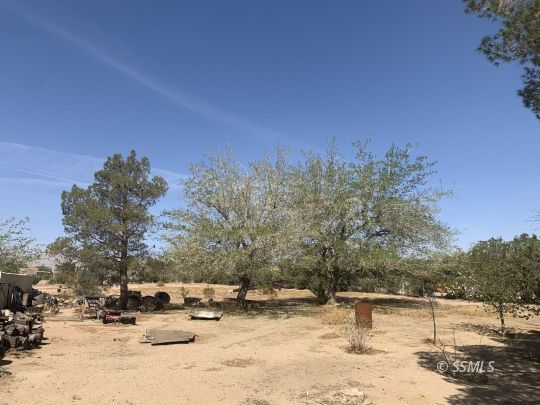 1221 North Garth Street Ridgecrest, CA 93555 - Photo 28 of 29 a view of a yard with a tree