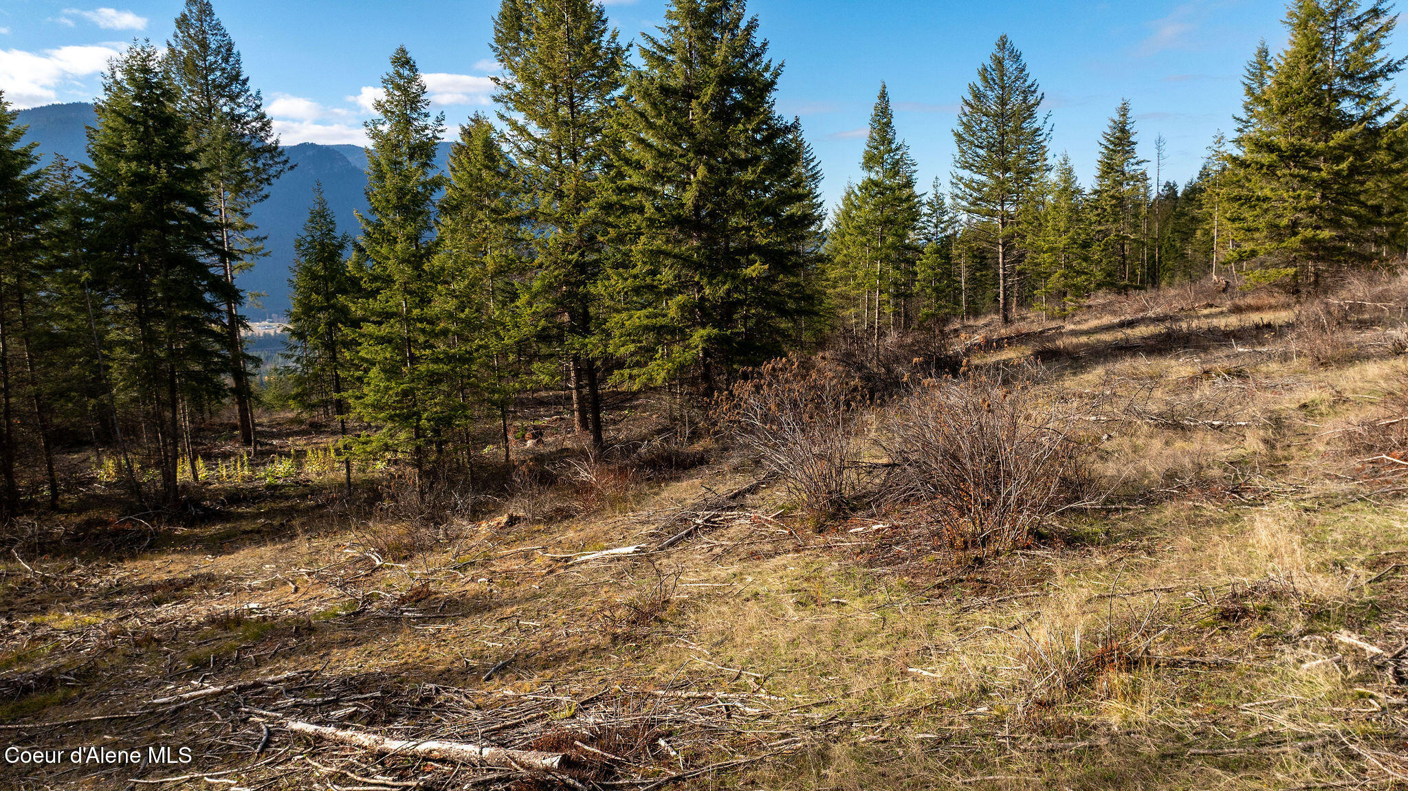 773 Cougar Loop Clark Fork, ID 83811 - Photo 3 of 13 DJI_0157