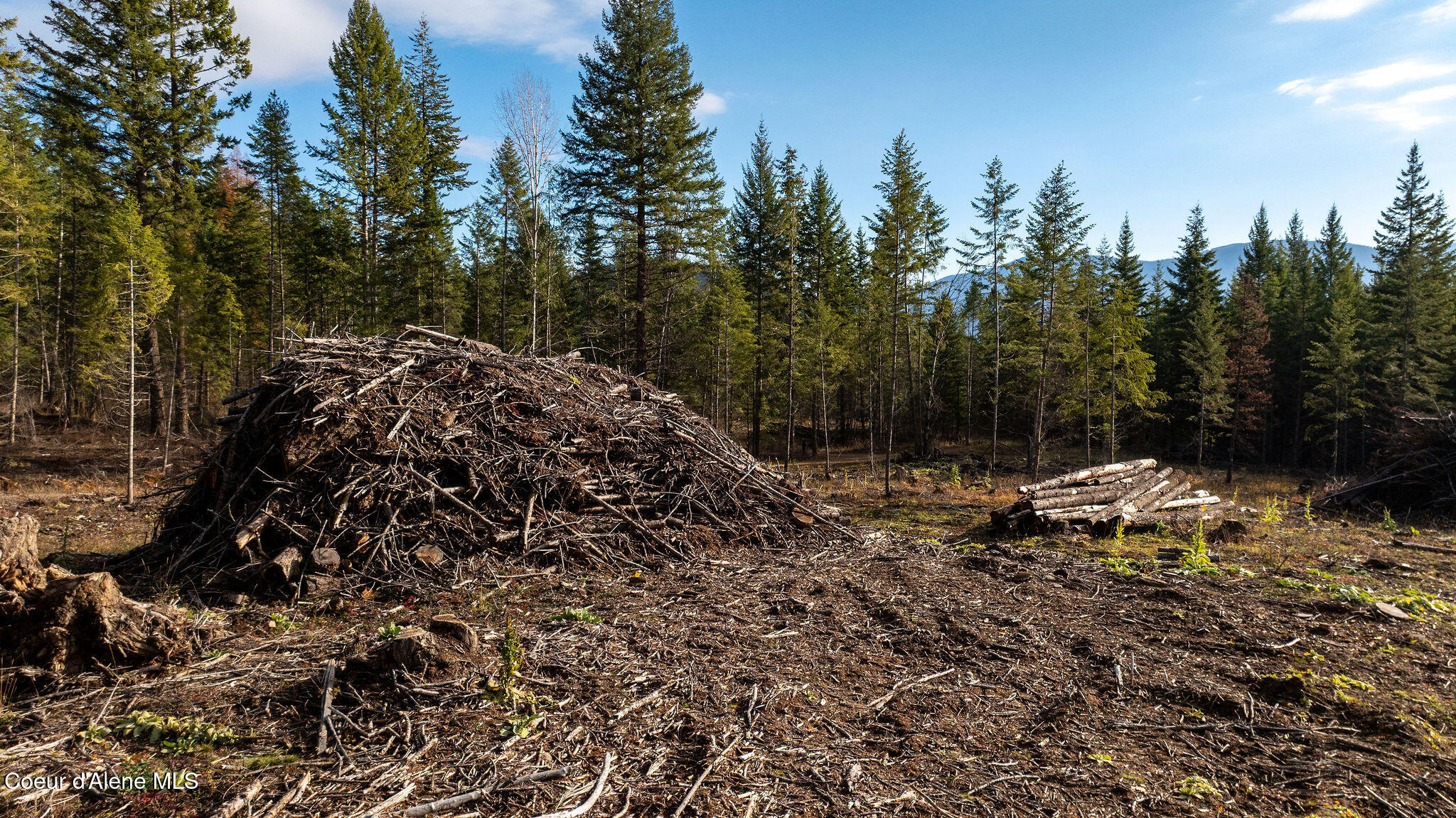 773 Cougar Loop Clark Fork, ID 83811 - Photo 8 of 13 DJI_0151