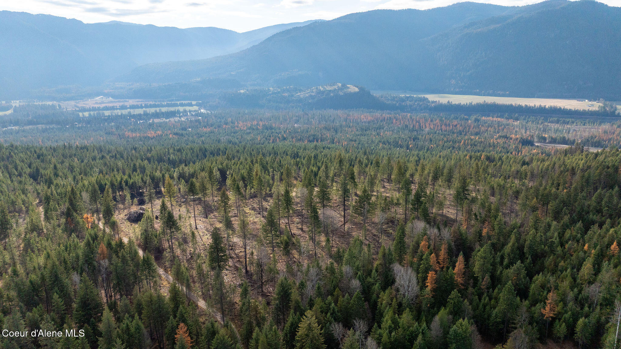 773 Cougar Loop Clark Fork, ID 83811 - Photo 10 of 13 DJI_0142