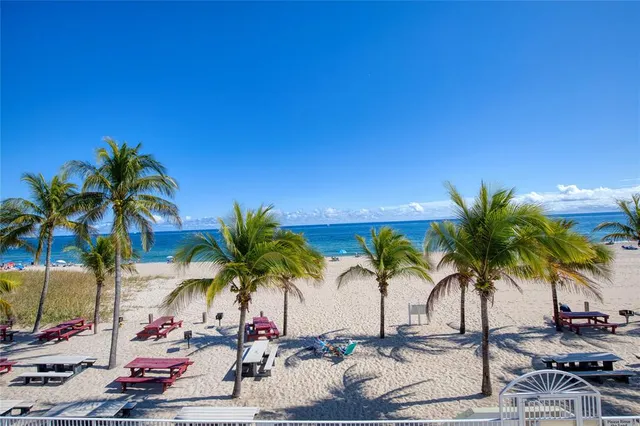 a view of outdoor space with palm trees