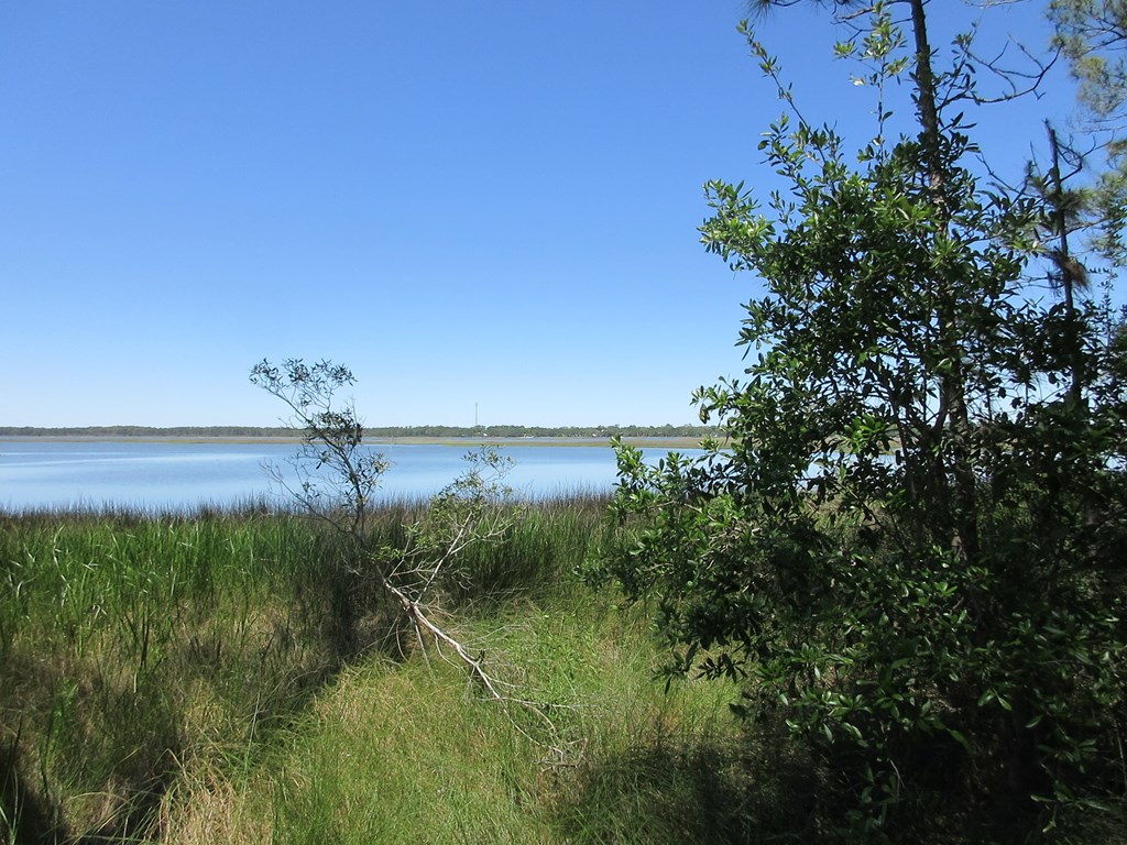 1252 Angus Morrison Road Alligator Point, FL 32346 - Photo 3 of 6 Gallery Image 3