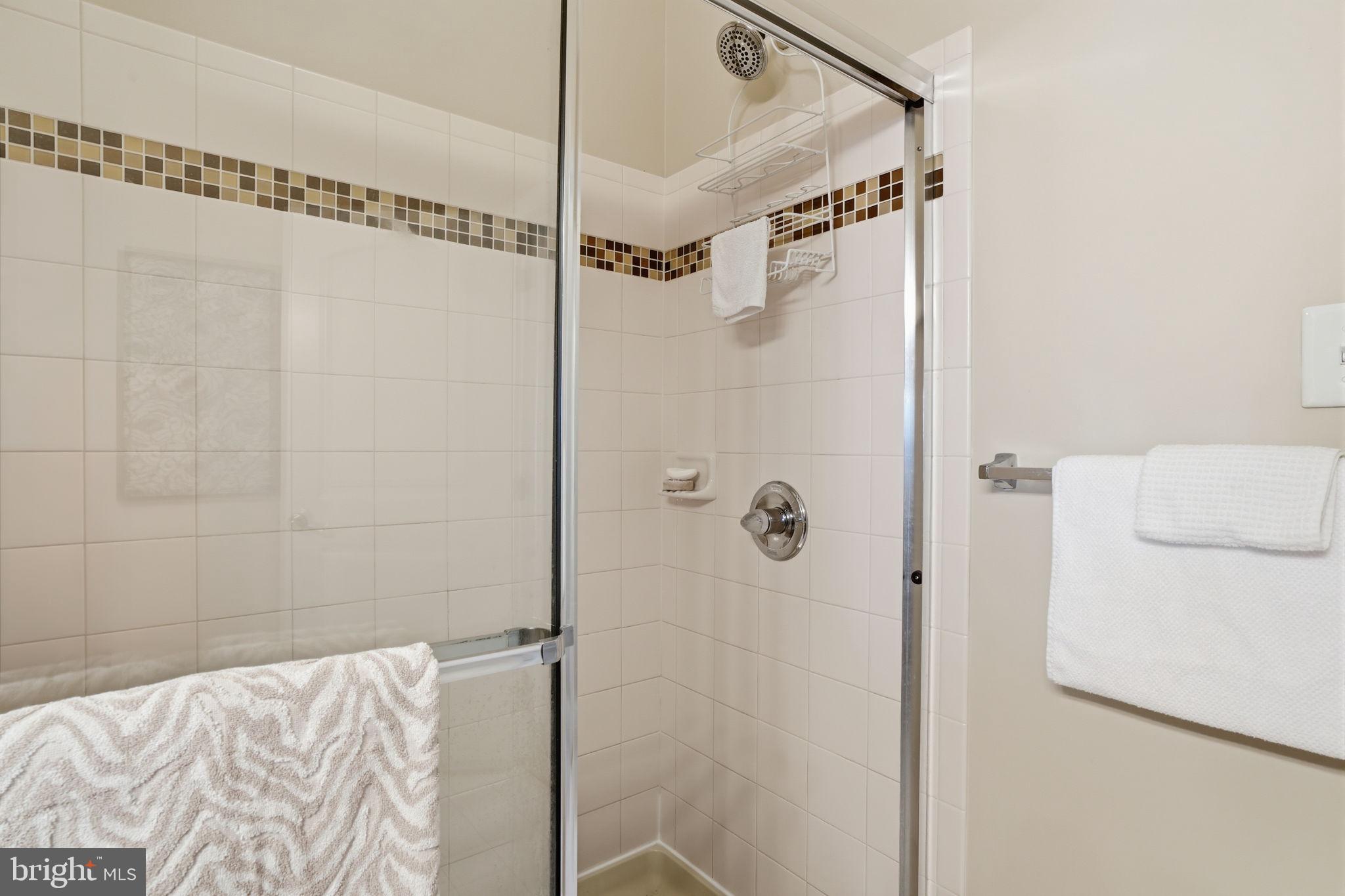 756 Street Road, Unit 1 Southampton, PA 18966 - Photo 14 of 28 Modern shower with elegant tiles.