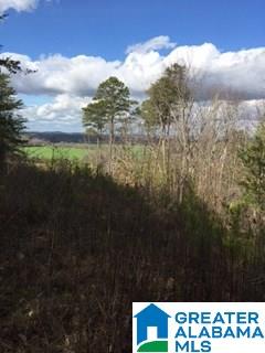 0 Henderson Lake Road, Unit 128 Munford, AL 36268 - Photo 20 of 31