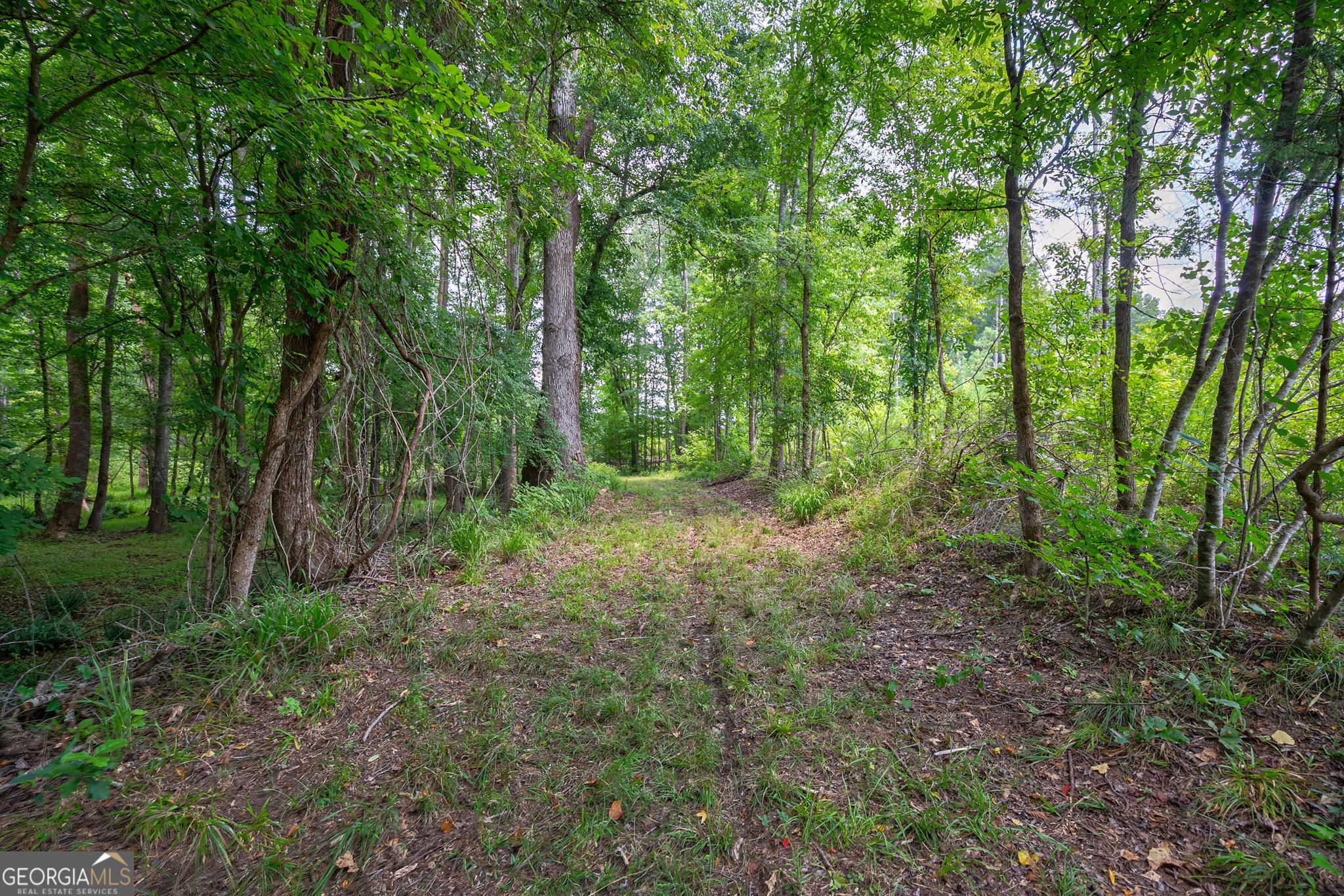 0 Jabez Poyner Road Carlton, GA 30627 - Photo 8 of 25 Gallery Image 8