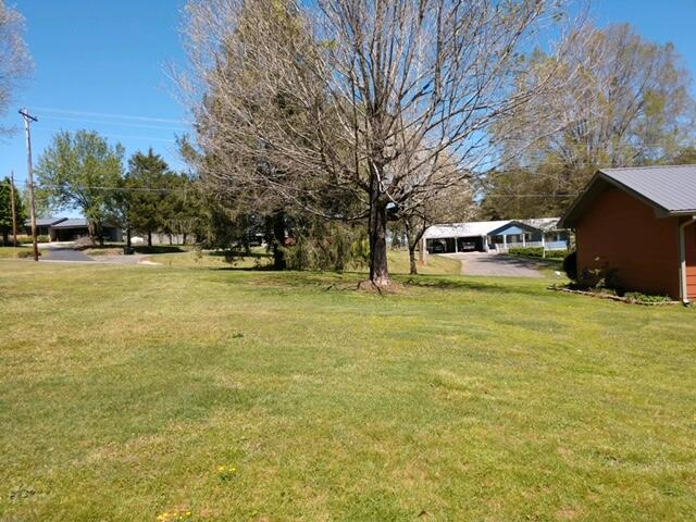 137 West Reed Road LaFayette, GA 30728 - Photo 36 of 41 side yard looking at road
