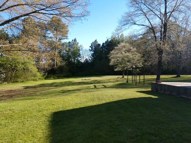 137 West Reed Road LaFayette, GA 30728 - Photo 5 of 41 back yard