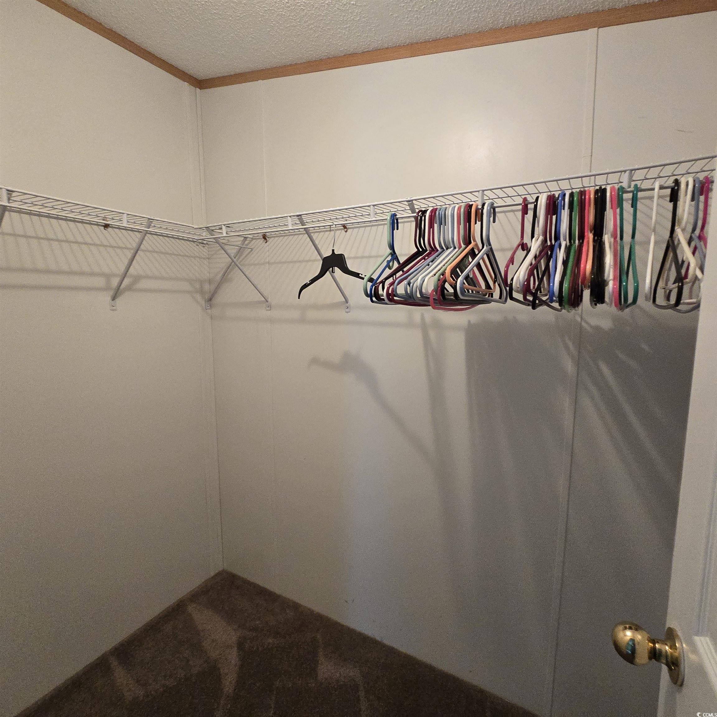 34 Talon Circle Murrells Inlet, SC 29576 - Photo 28 of 40 Spacious closet with dark carpet