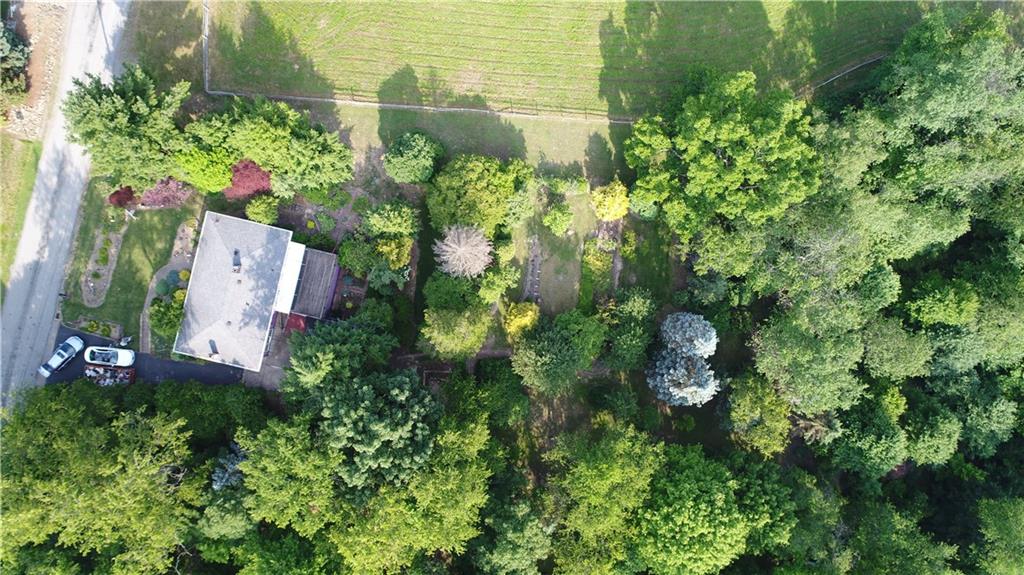 306 Brewer Road Rochester, PA 15074 - Photo 3 of 25 The seller has given this 3 acres his love for many years. Step in and enjoy the fruits of his labor...literally!