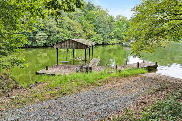 a view of a lake with a large trees