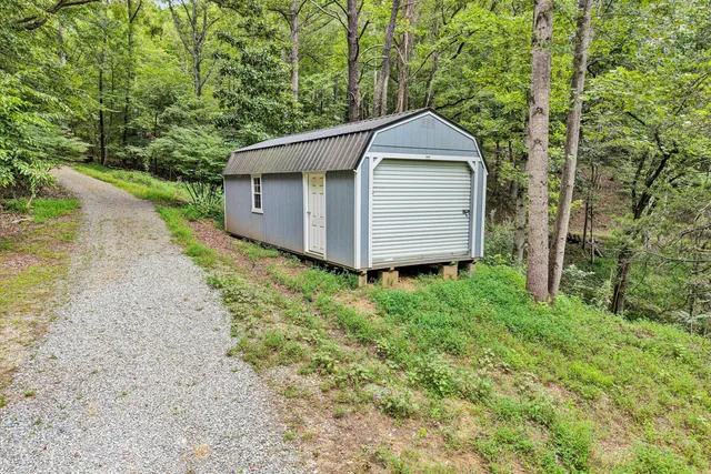 a view of a park with large trees