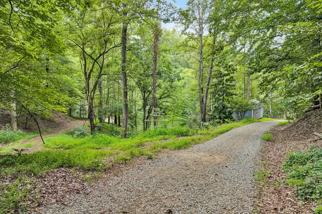 a map view of a tree