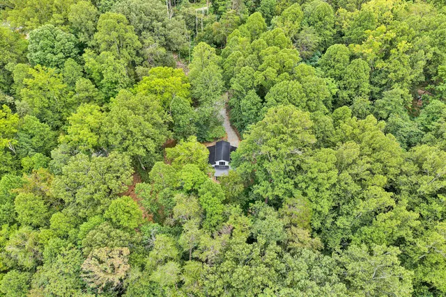 a view of a lush green field with lots of bushes