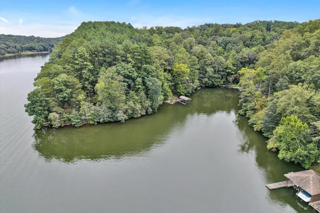 a view of a forest with a street