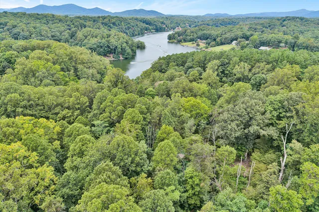 $885,000 | 295 Wysong Mill Circle, Hardy, VA 24101