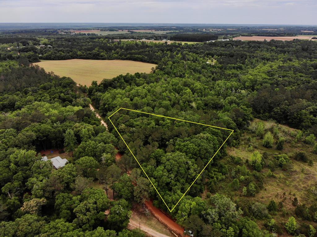 2-ac Corbin Road Newton, AL 36352 - Photo 1 of 15