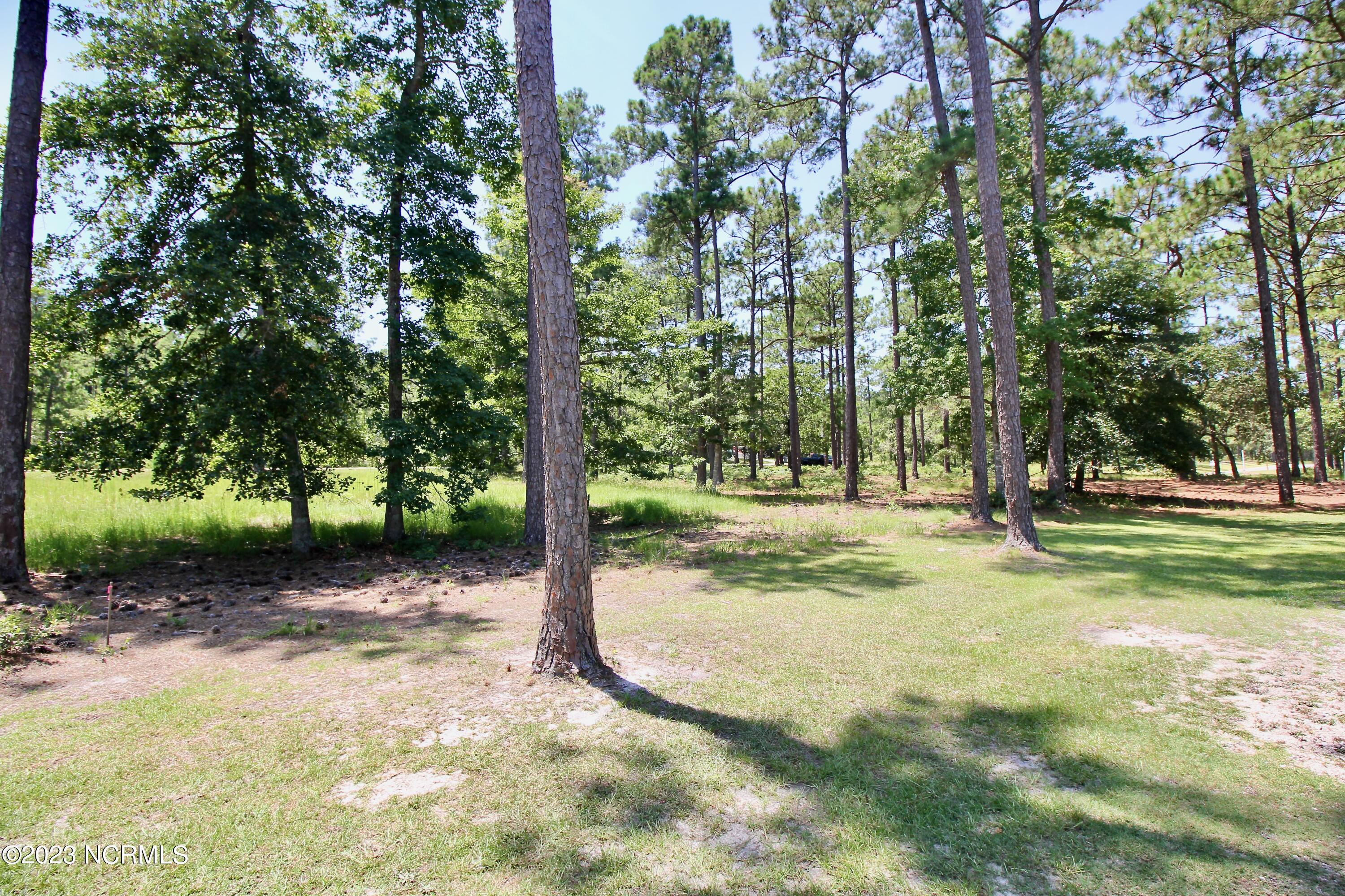 1017 Copas Road Southwest Shallotte, NC 28470 - Photo 12 of 16 Golf Side Left