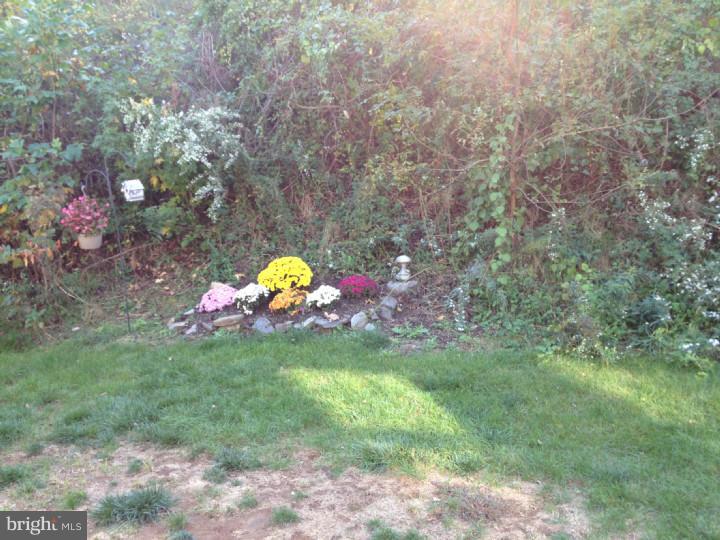 3108 William Road Garnet Valley, PA 19060 - Photo 12 of 24 View in Back