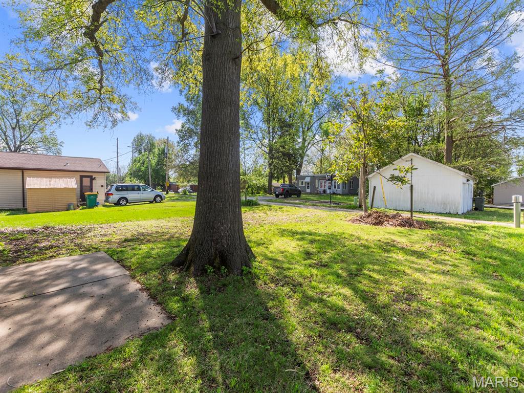 210 East Laurel Street Millstadt, IL 62260 - Photo 7 of 29