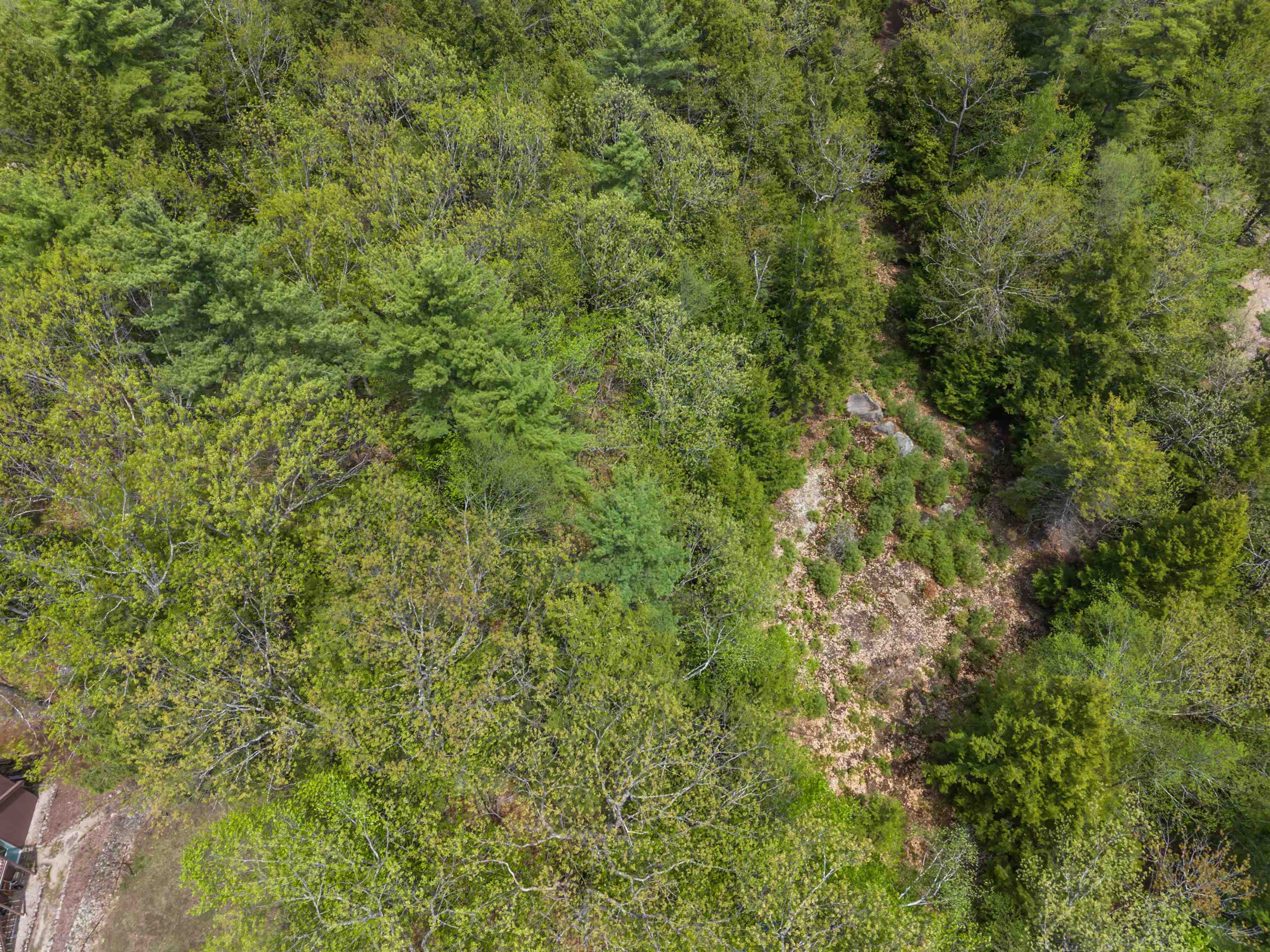 Lot 15 Pine Point Road, Unit 15 New Durham, NH 03855 - Photo 4 of 4