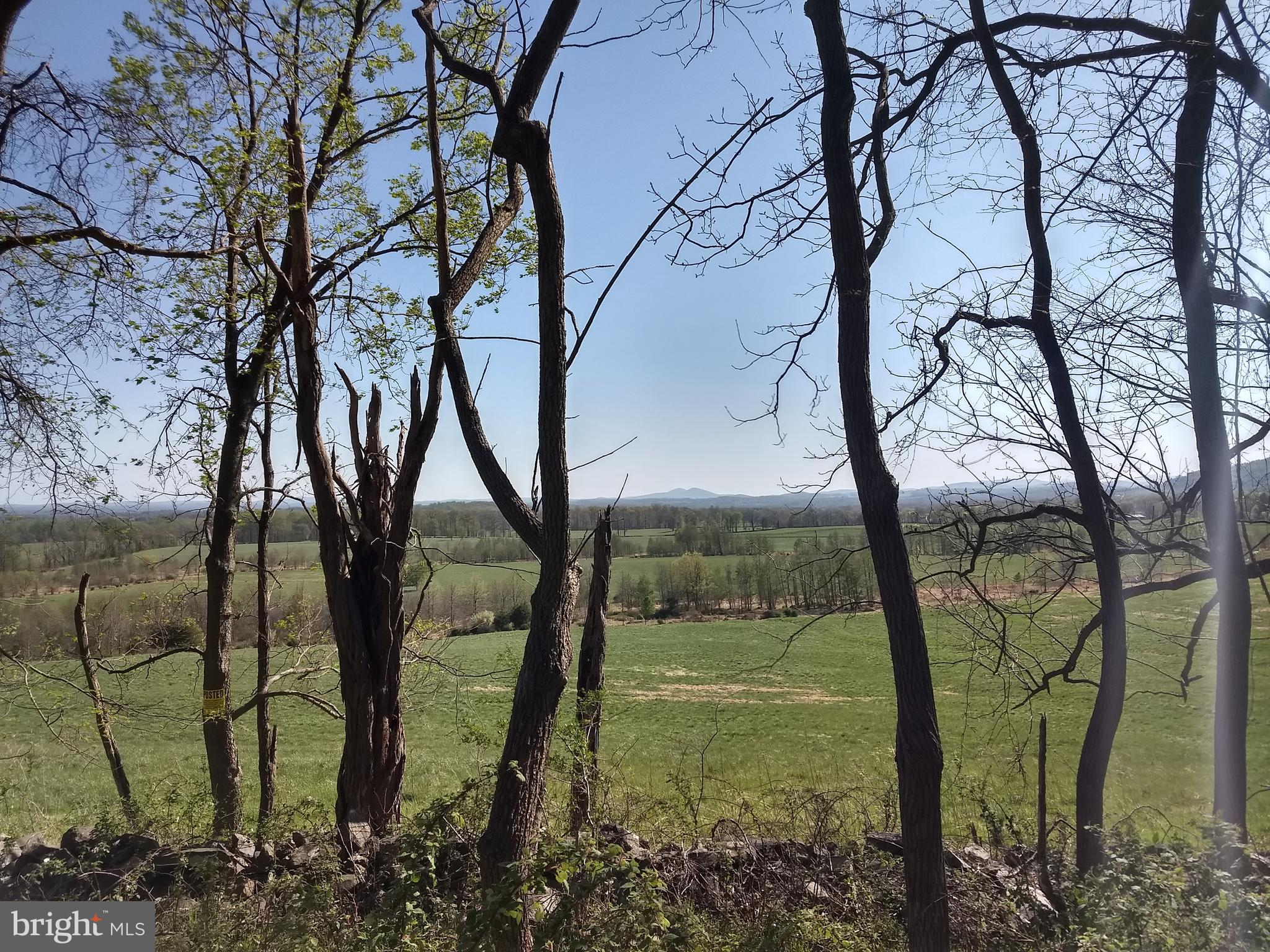 0 Ridgeside Road Bluemont, VA 20135 - Photo 12 of 46 early Spring view