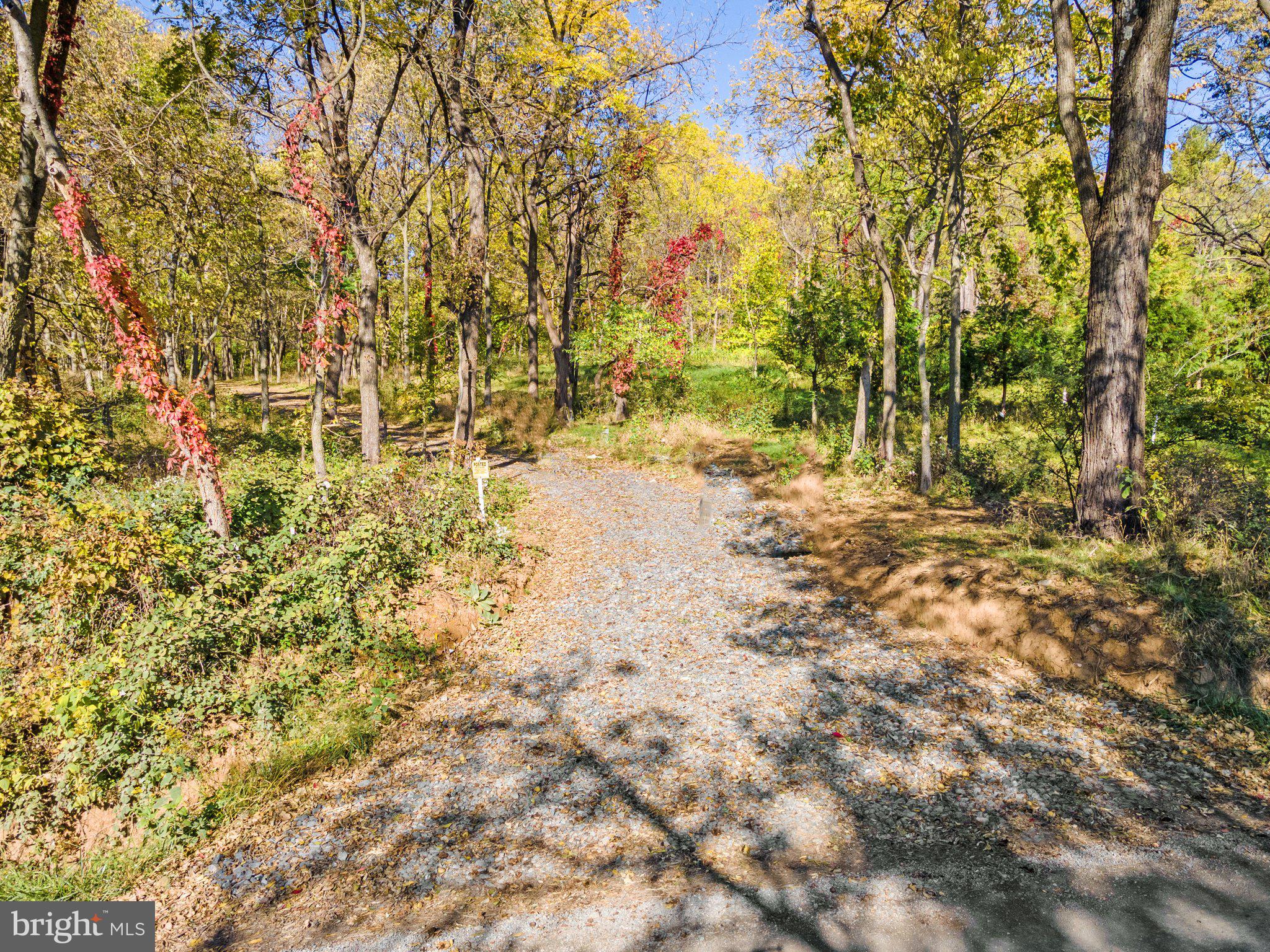 0 Ridgeside Road Bluemont, VA 20135 - Photo 14 of 46 gravel easement Entrance