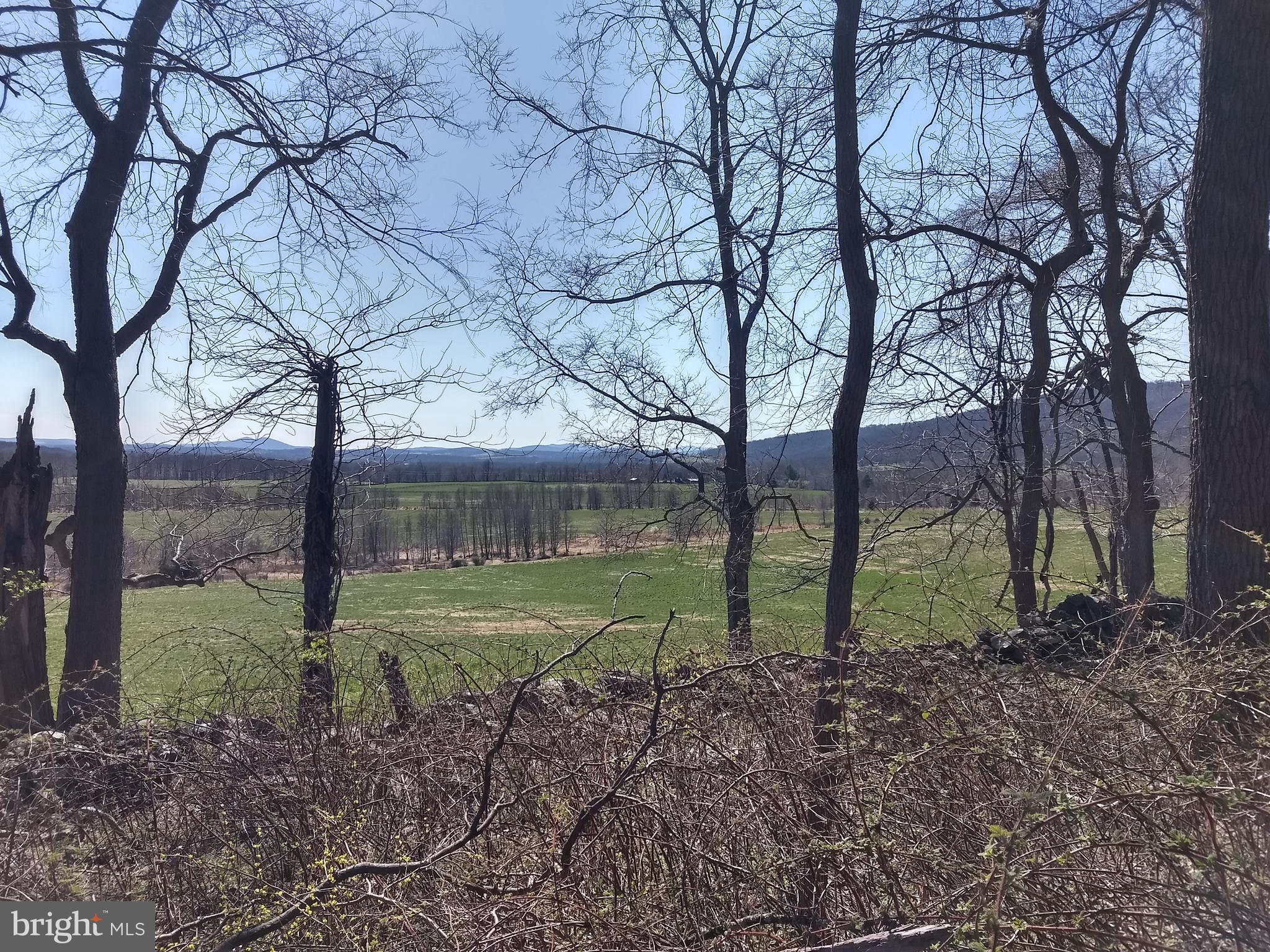 0 Ridgeside Road Bluemont, VA 20135 - Photo 17 of 46 stone walls and mountan views