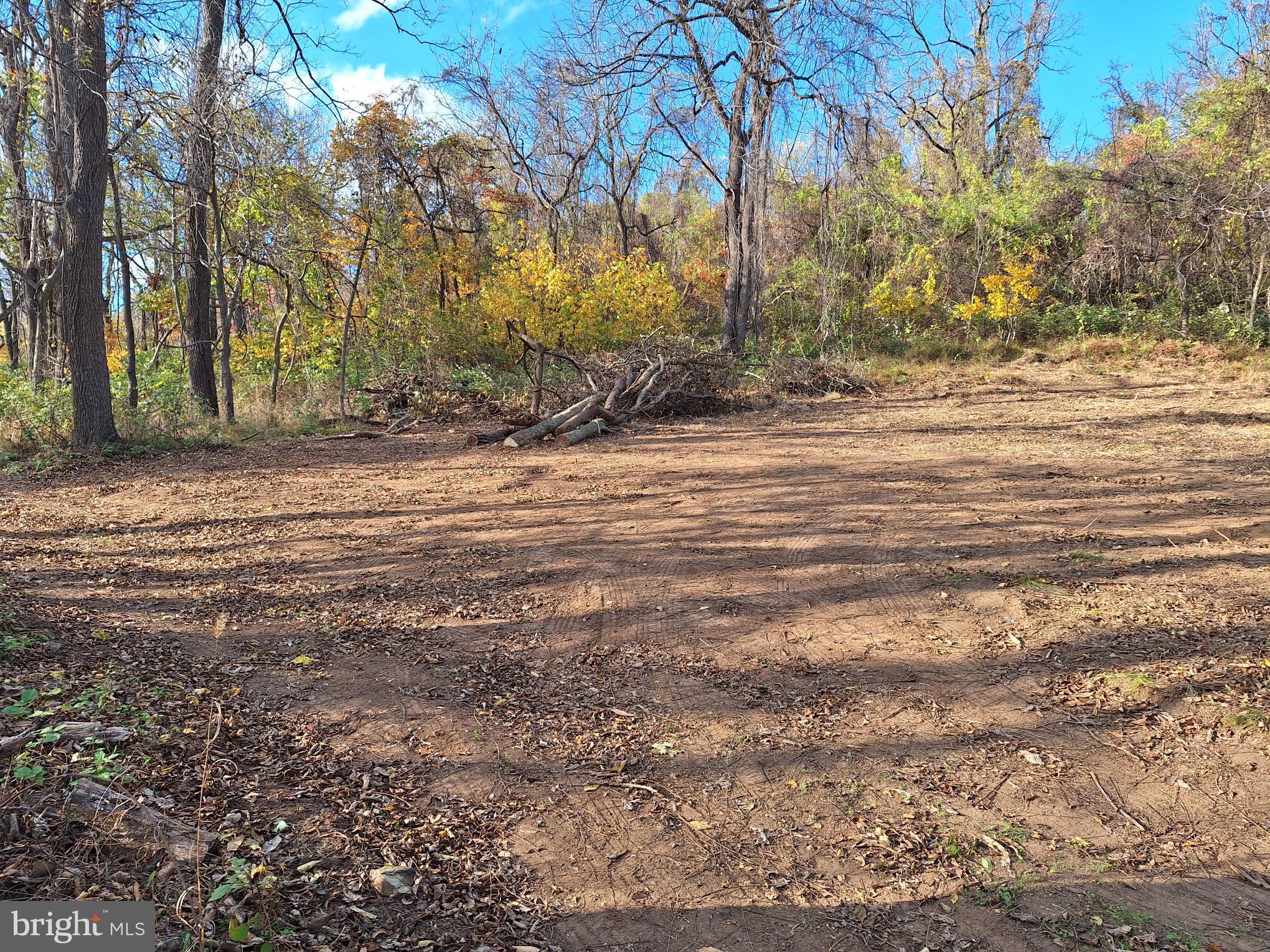 0 Ridgeside Road Bluemont, VA 20135 - Photo 23 of 46 new clearing