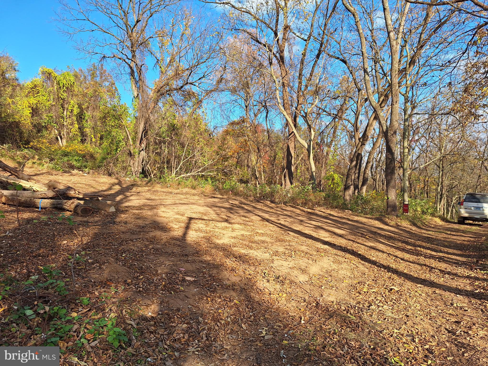 0 Ridgeside Road Bluemont, VA 20135 - Photo 26 of 46 new clearing