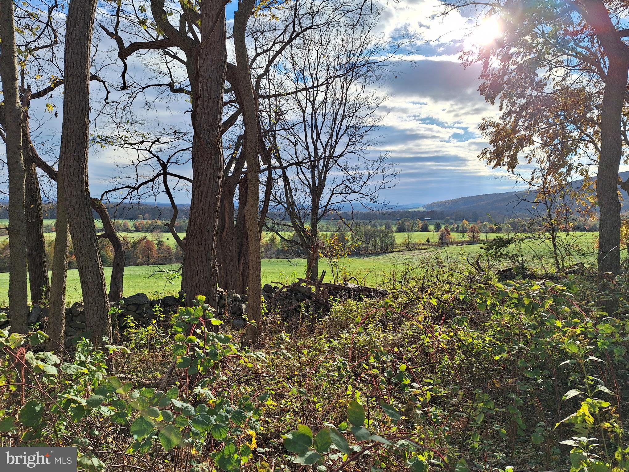0 Ridgeside Road Bluemont, VA 20135 - Photo 3 of 46 view from lot 10/31/23
