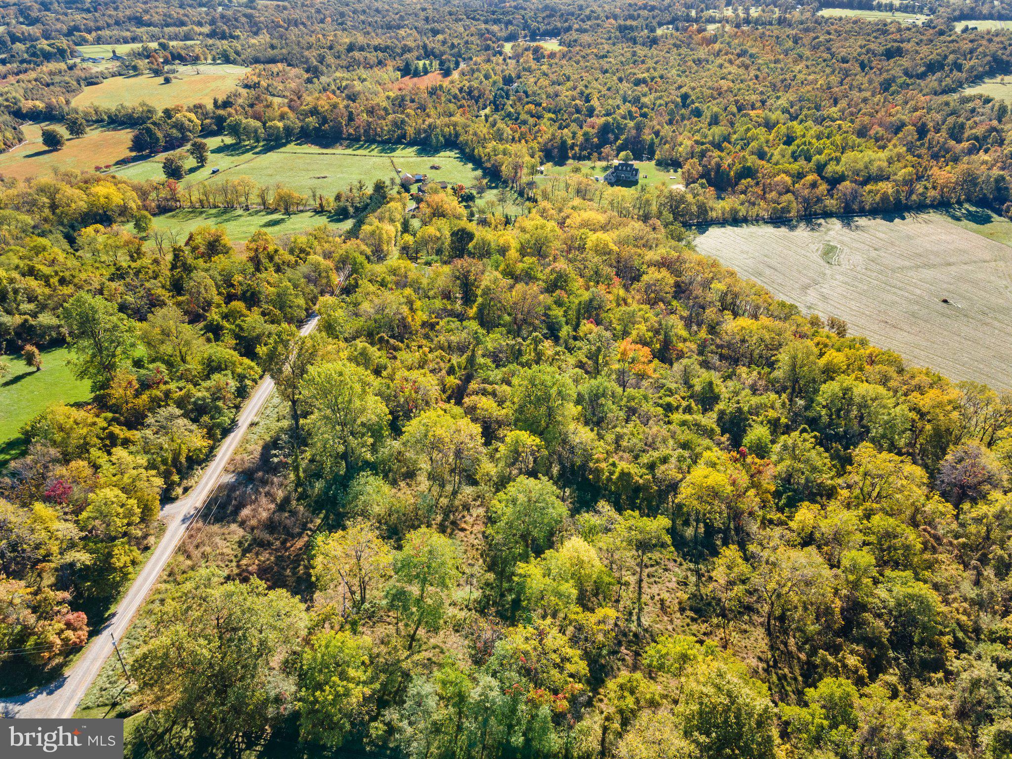 0 Ridgeside Road Bluemont, VA 20135 - Photo 35 of 46 Forest Hill Ln. looking E.