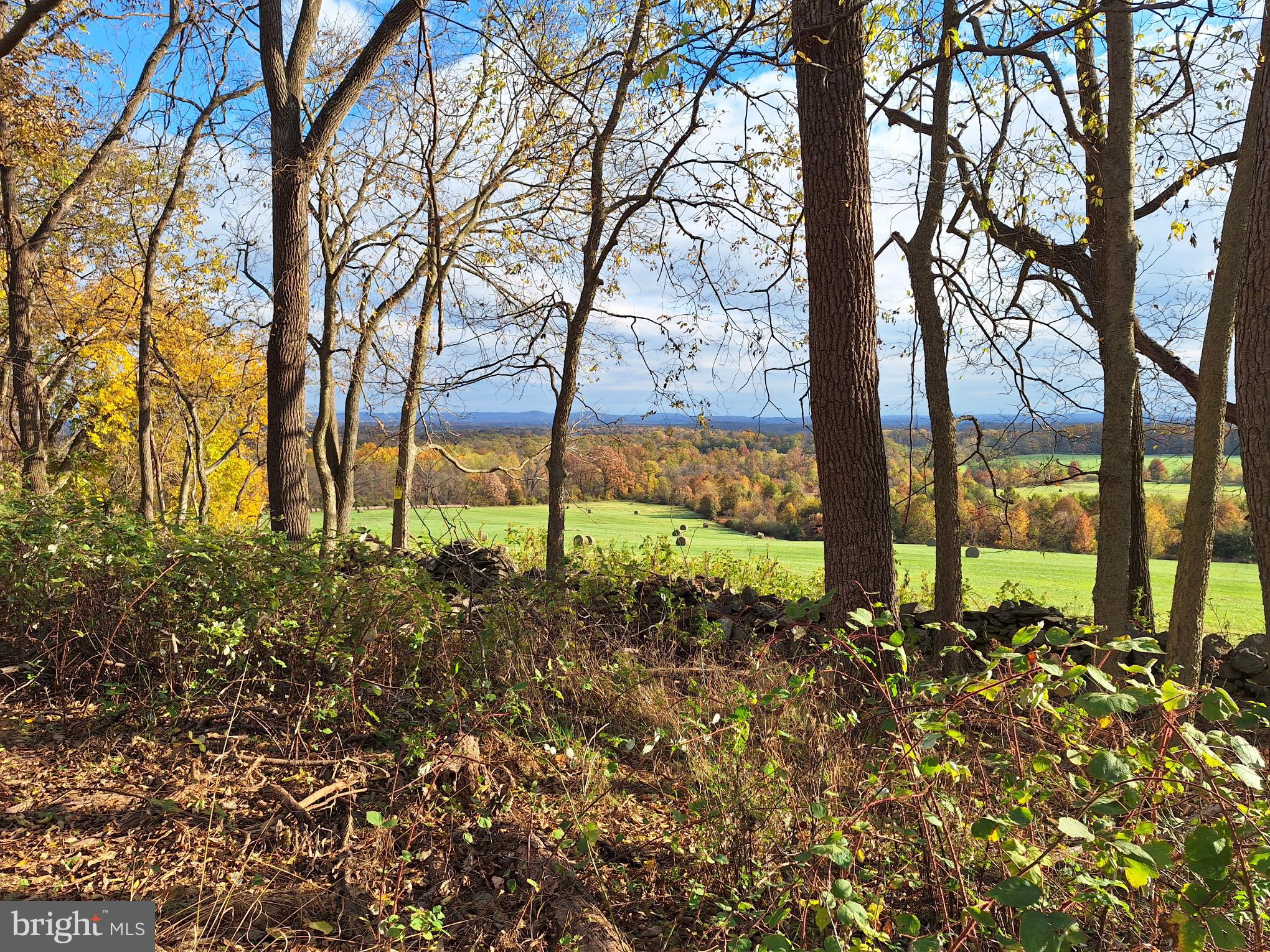 0 Ridgeside Road Bluemont, VA 20135 - Photo 4 of 46 view from lot 10/31/23