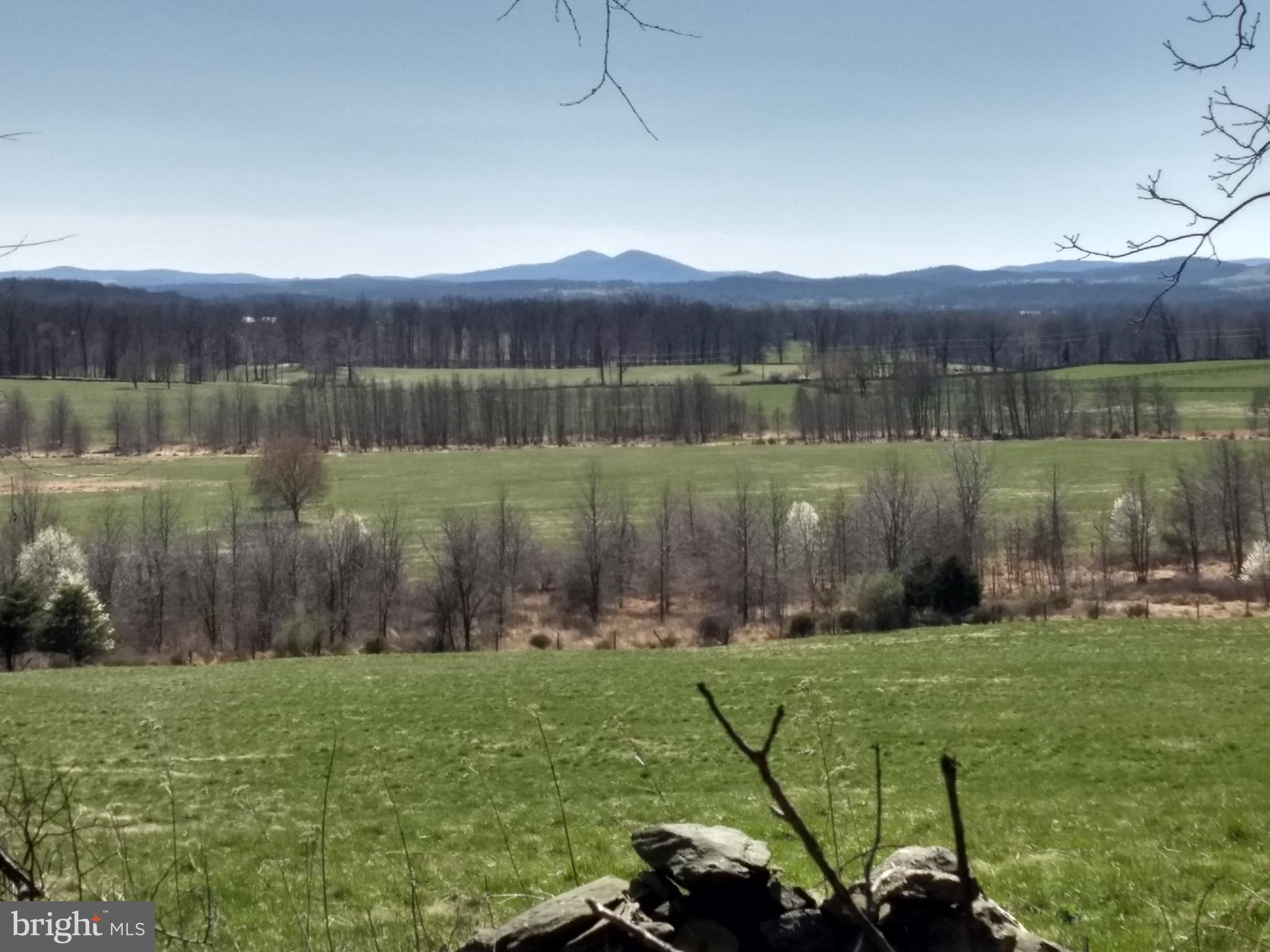 0 Ridgeside Road Bluemont, VA 20135 - Photo 5 of 46 view from edge of lot