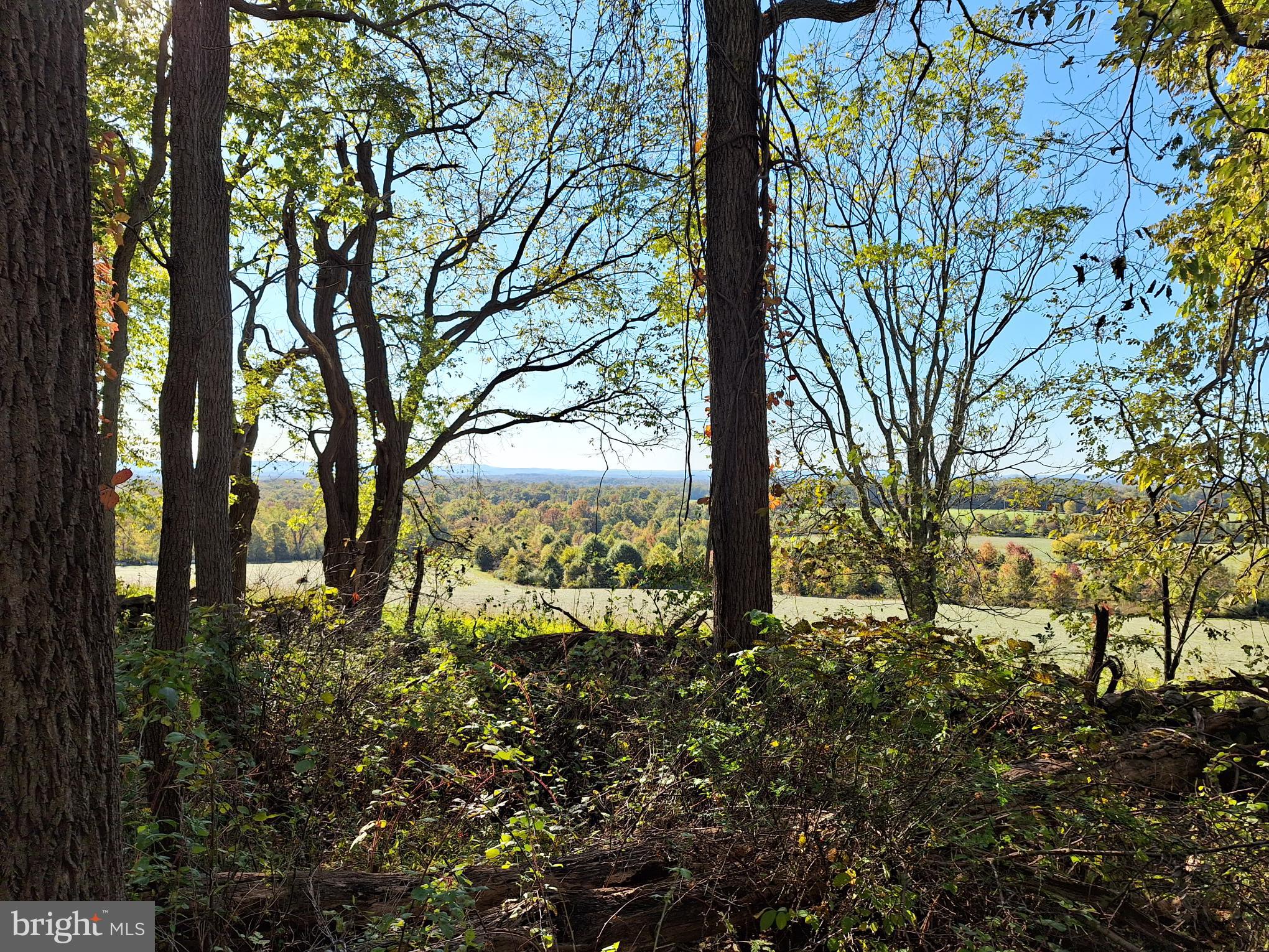 0 Ridgeside Road Bluemont, VA 20135 - Photo 10 of 46 pasture and mountain views