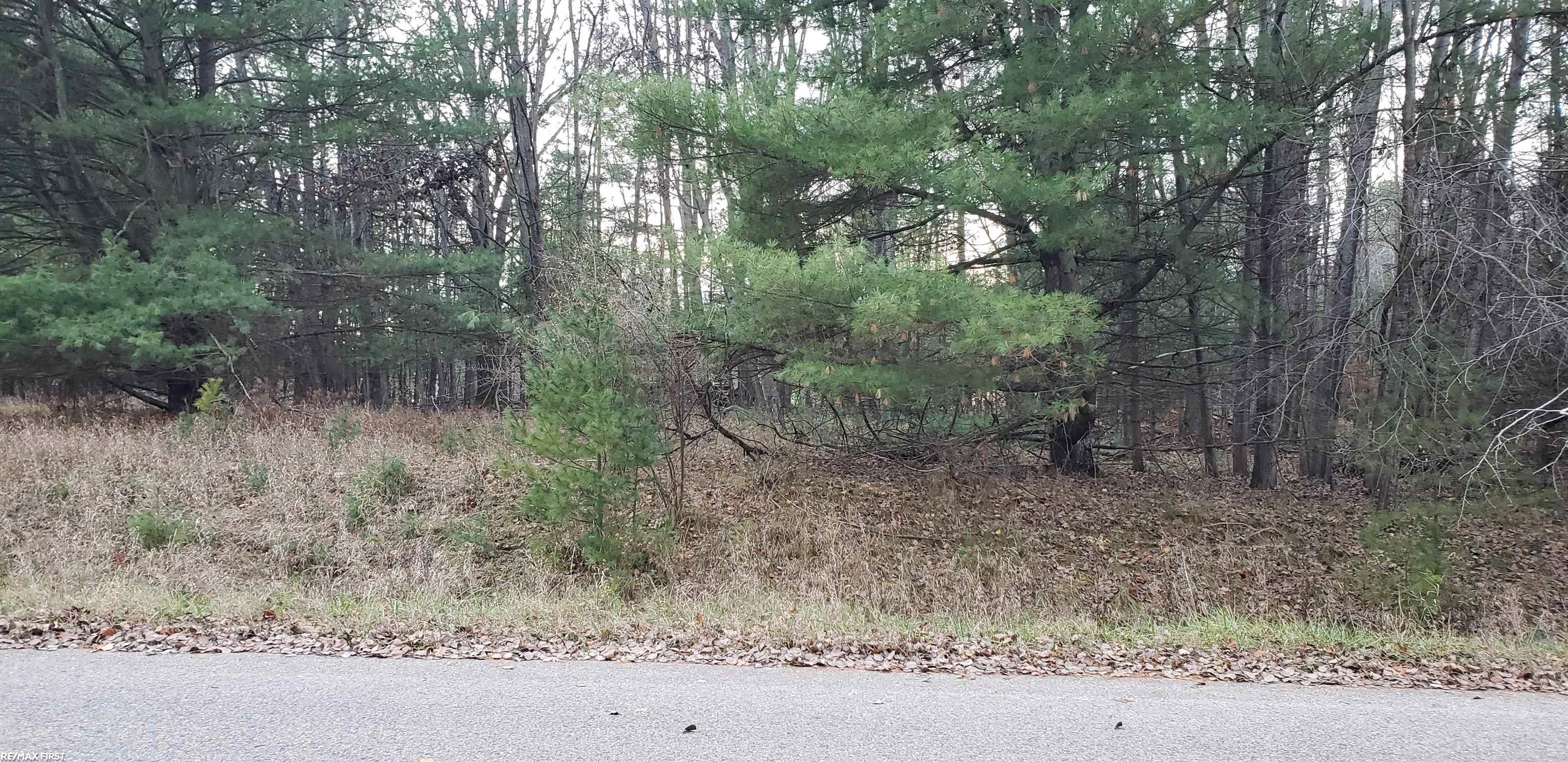 Robindale Way Gladwin, MI 48624 - Photo 1 of 3